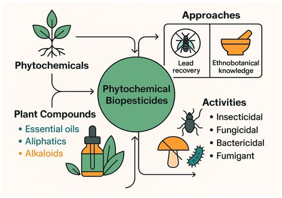 Plants 14 03453 g002