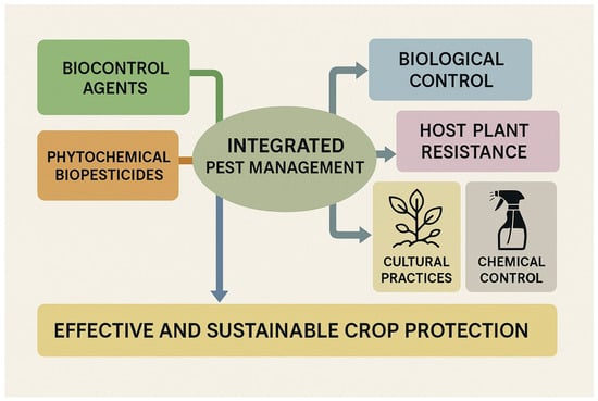 Plants 14 03453 g003