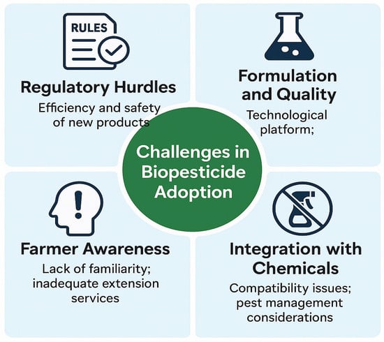 Plants 14 03453 g004