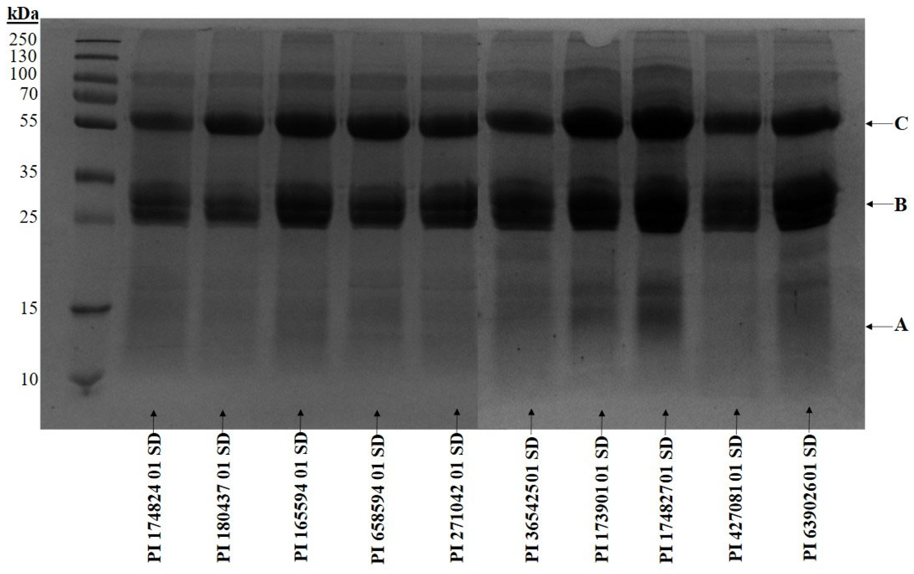 Plants 14 03483 g003 Plants 14 03483 g003