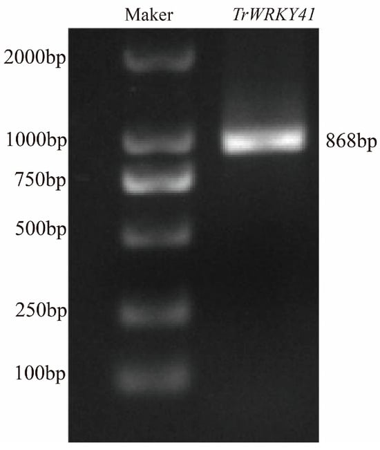 Plants 14 03493 g0a1