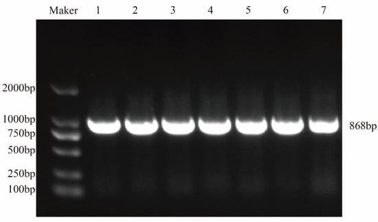 Plants 14 03493 g0a2