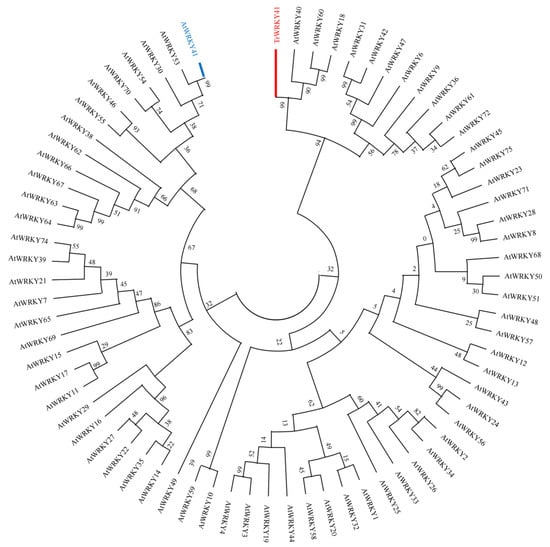 Plants 14 03493 g0a3