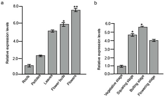 Plants 14 03502 g001