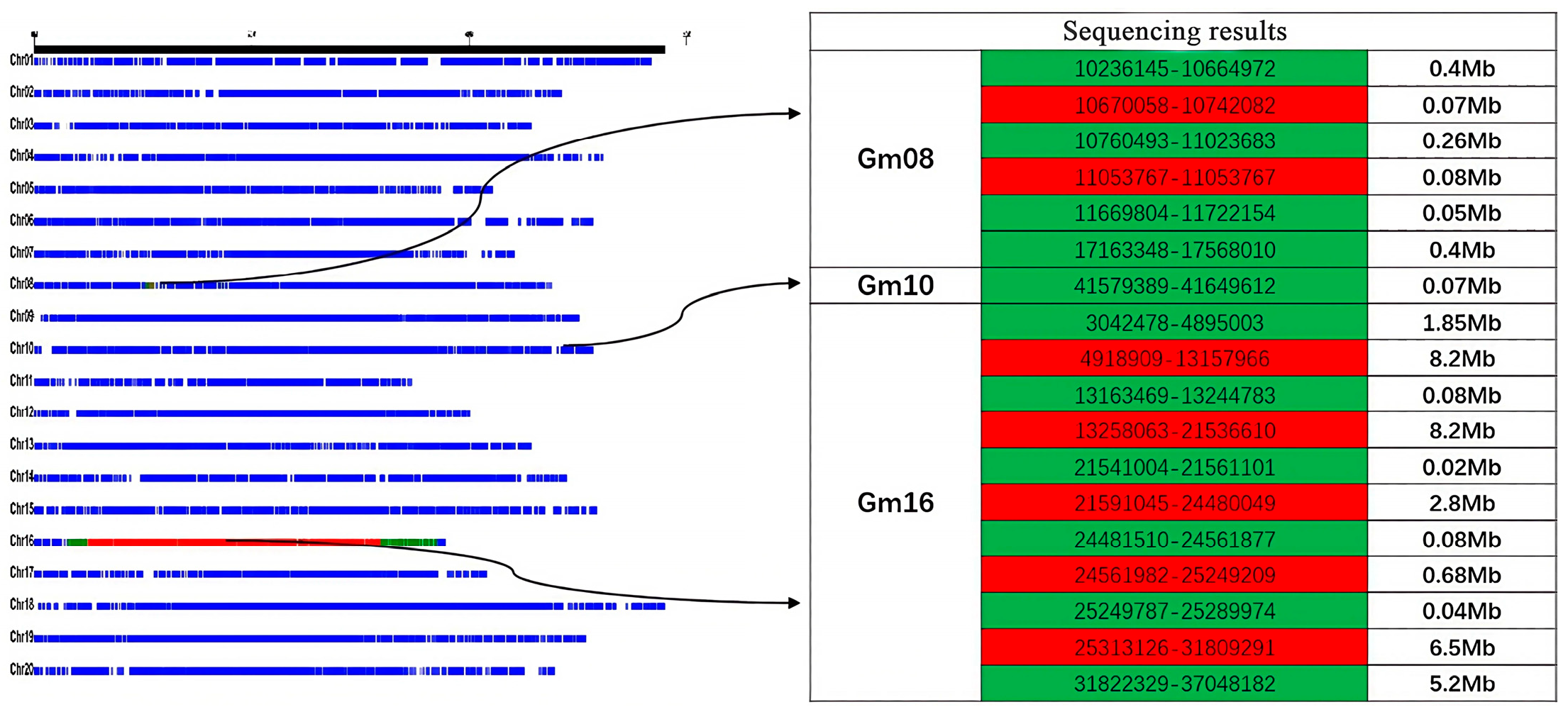 Plants 14 03525 g001