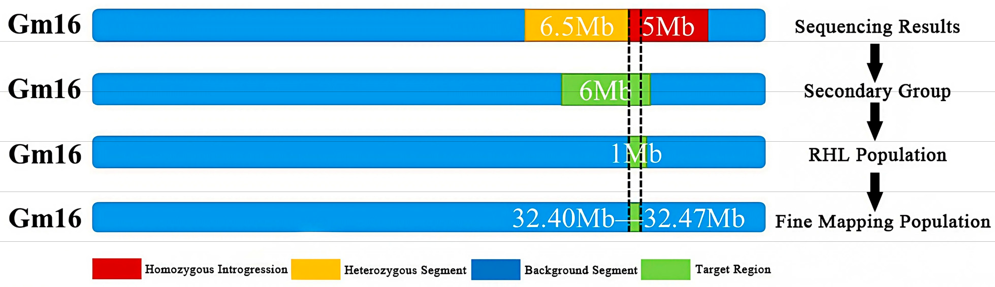 Plants 14 03525 g004