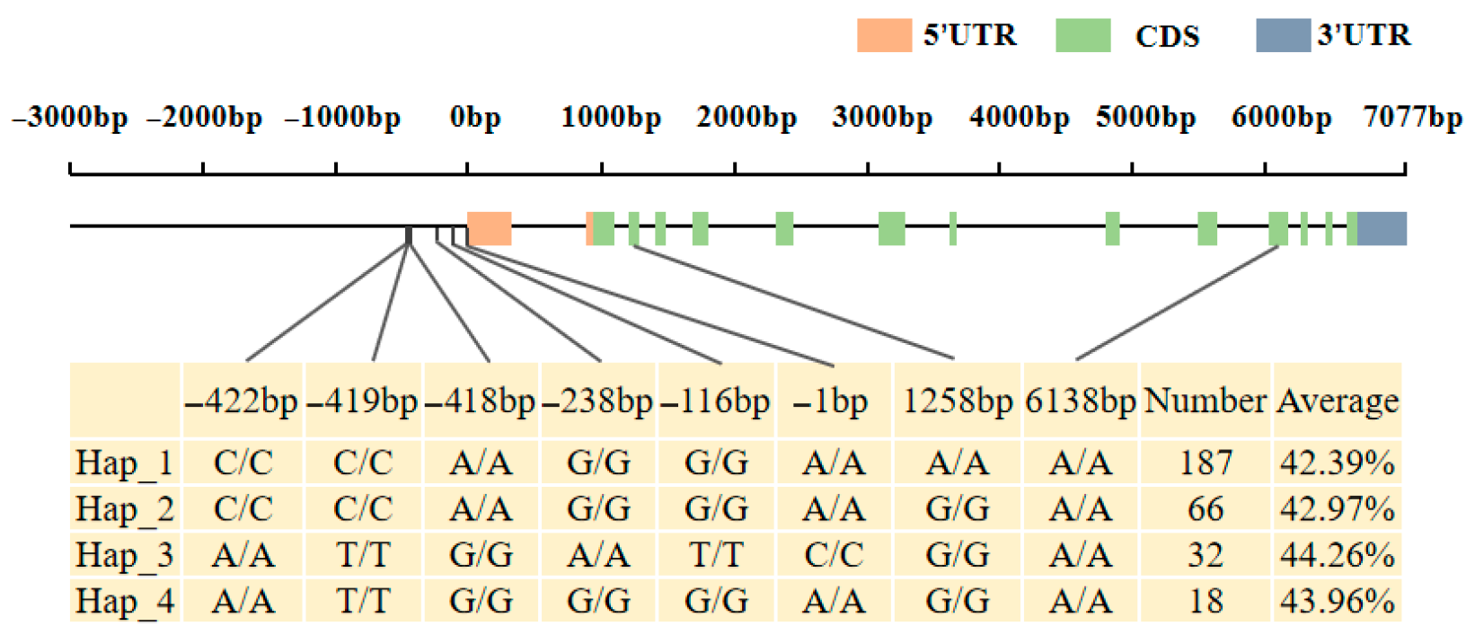 Plants 14 03525 g010