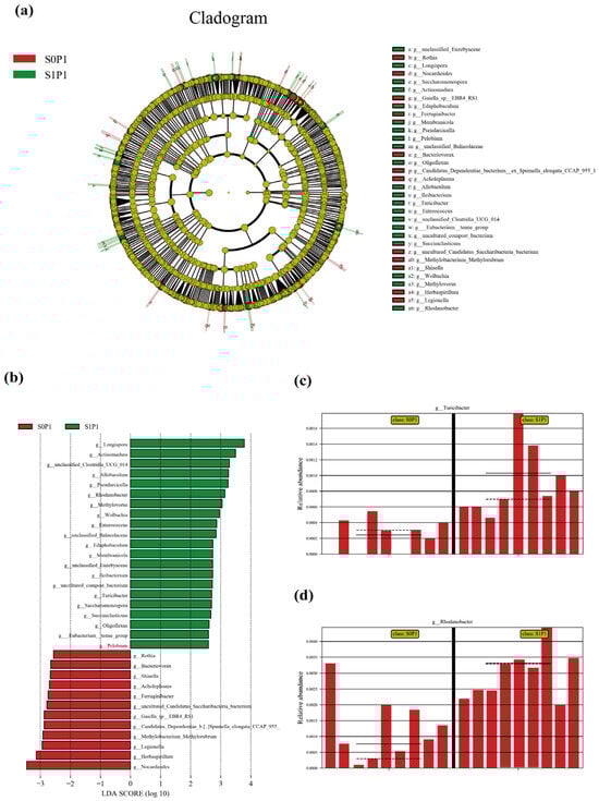 Plants 14 03530 g0a1