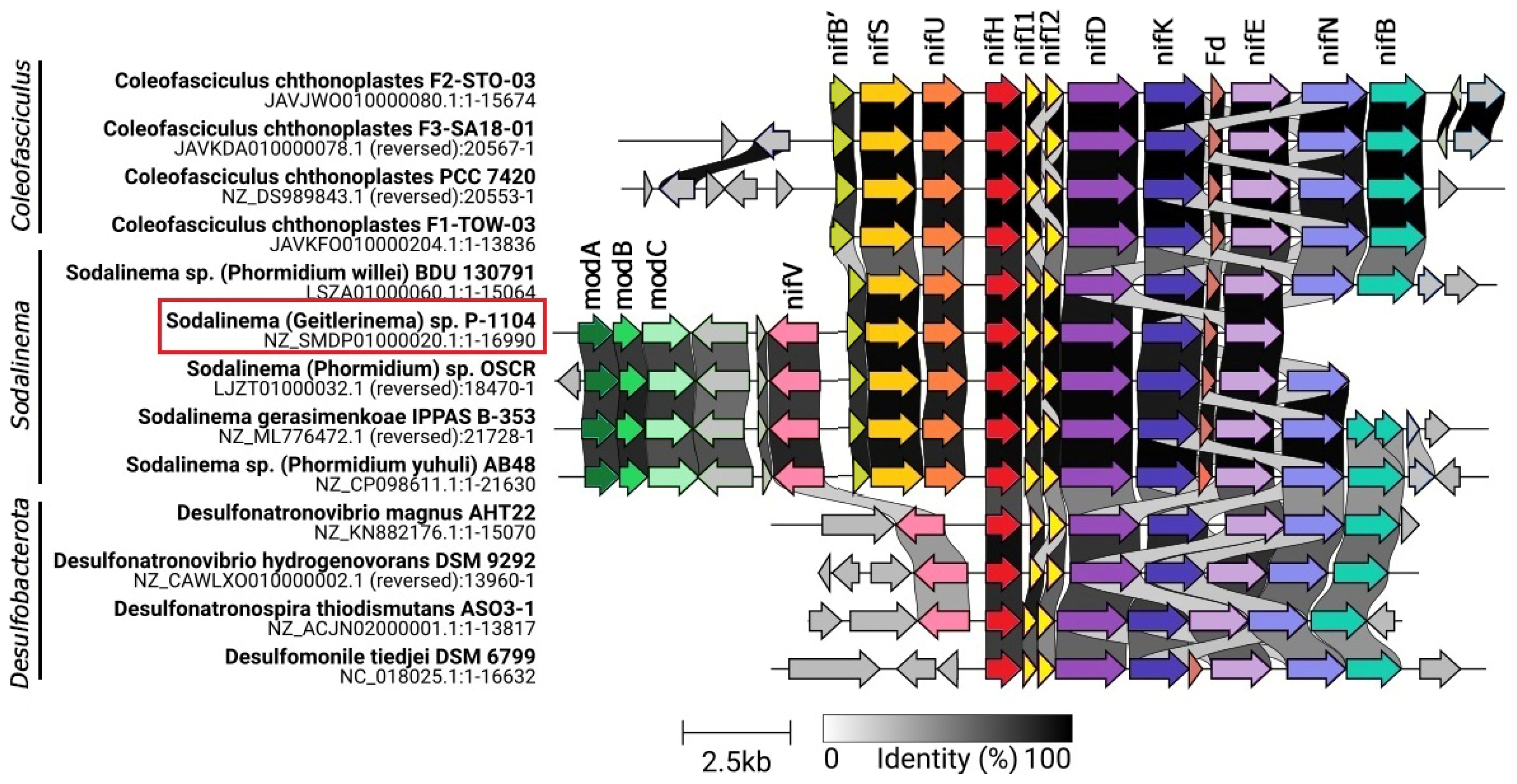 Plants 14 03558 g002