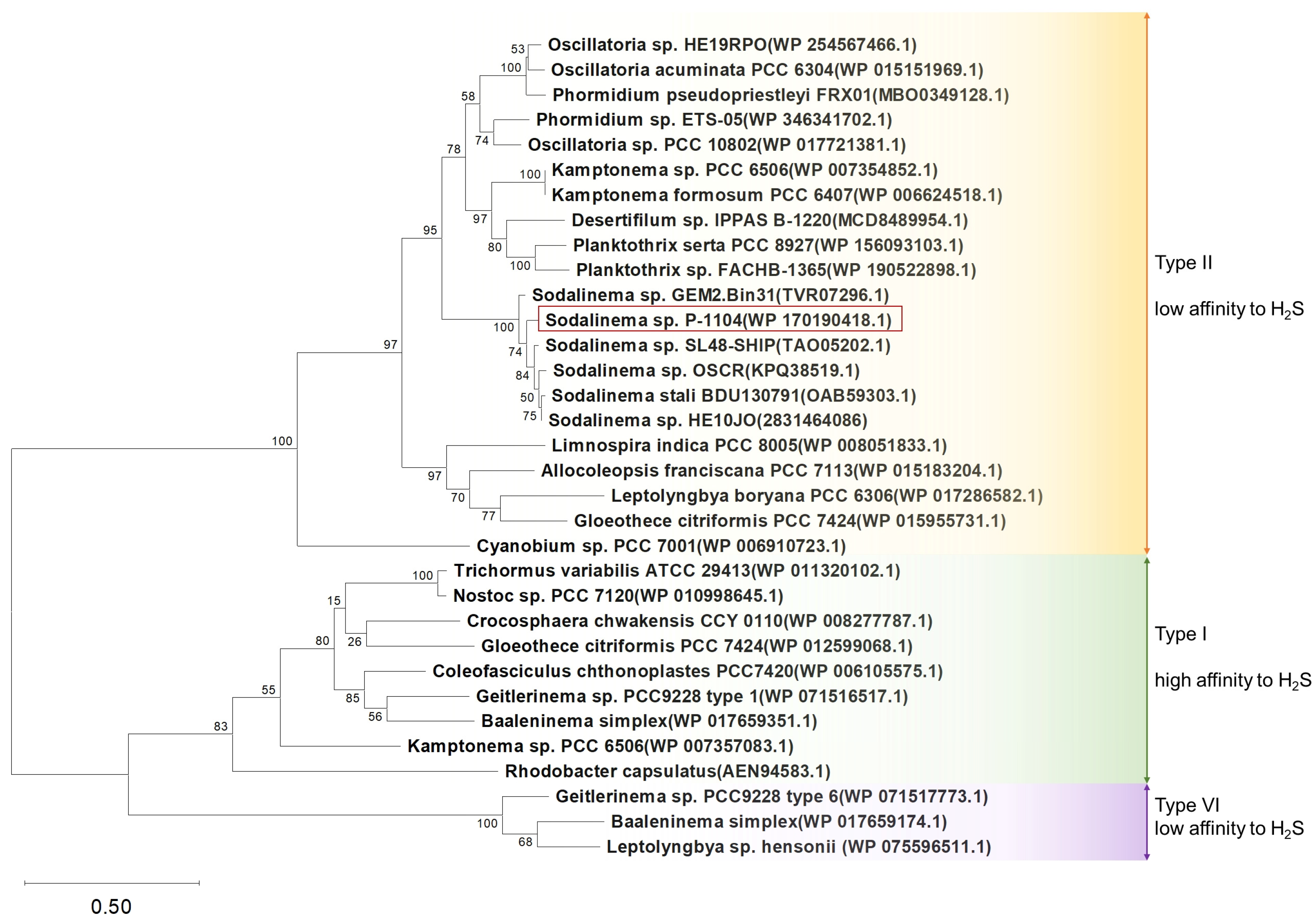 Plants 14 03558 g006