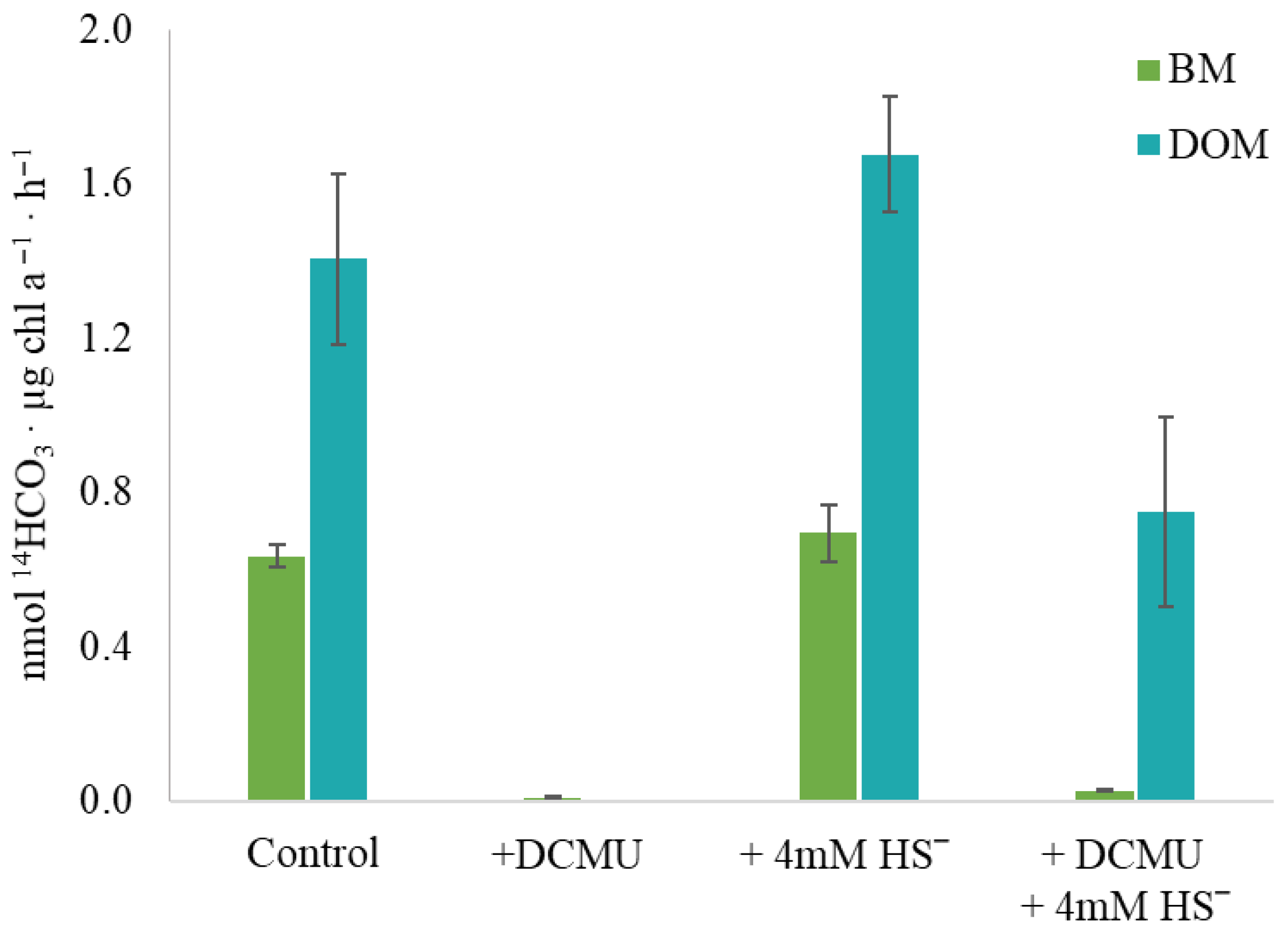 Plants 14 03558 g007