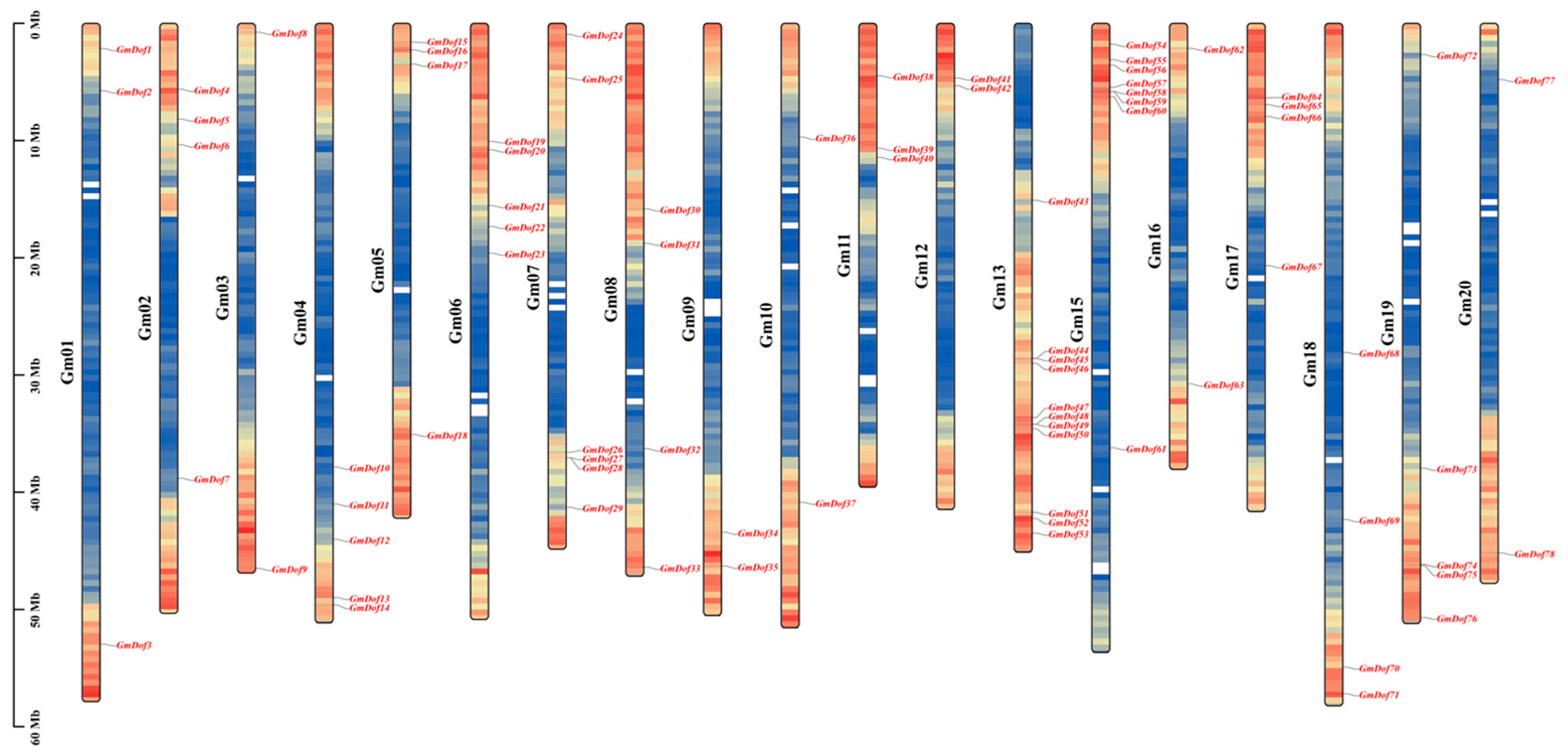 Plants 14 03621 g001