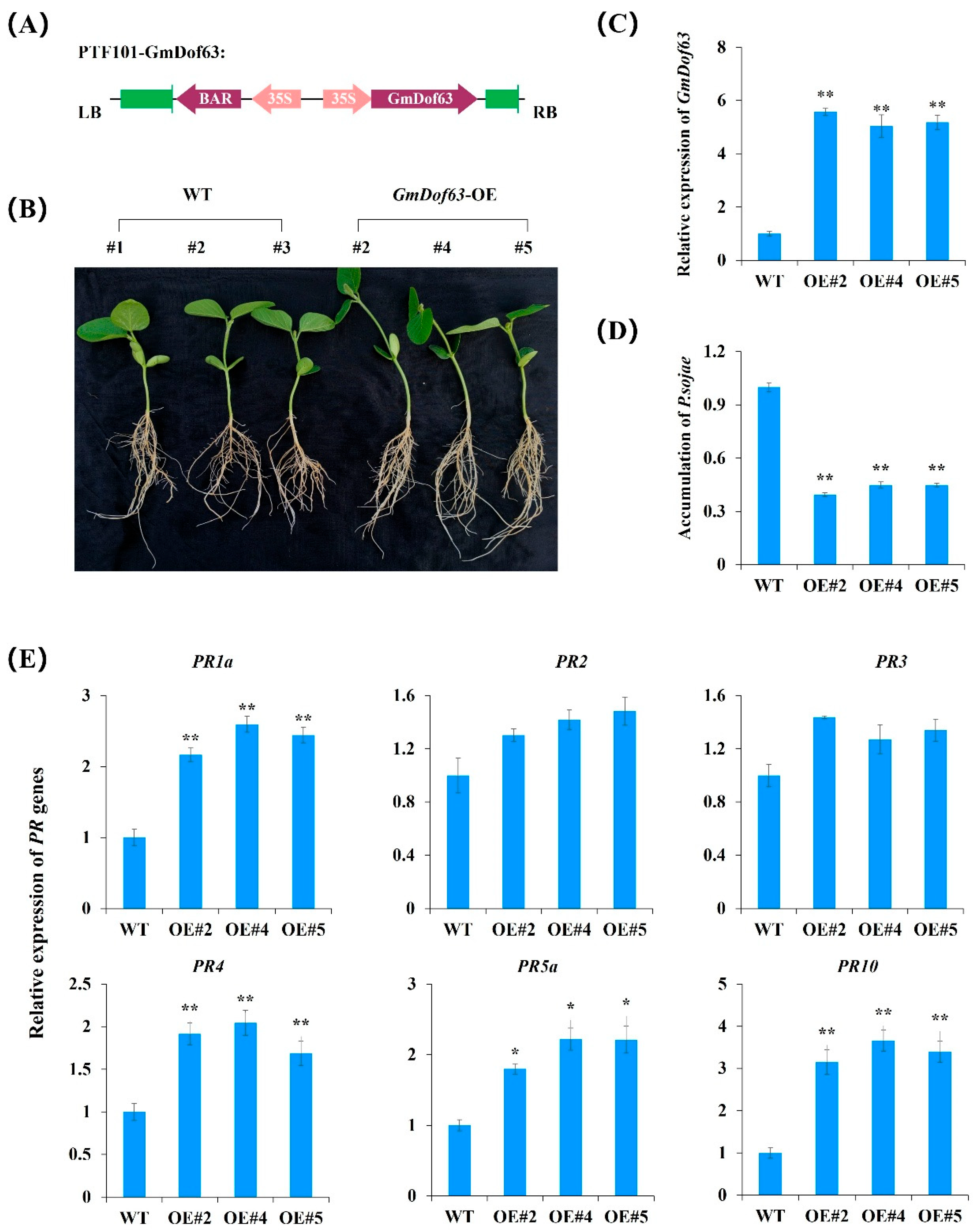 Plants 14 03621 g010