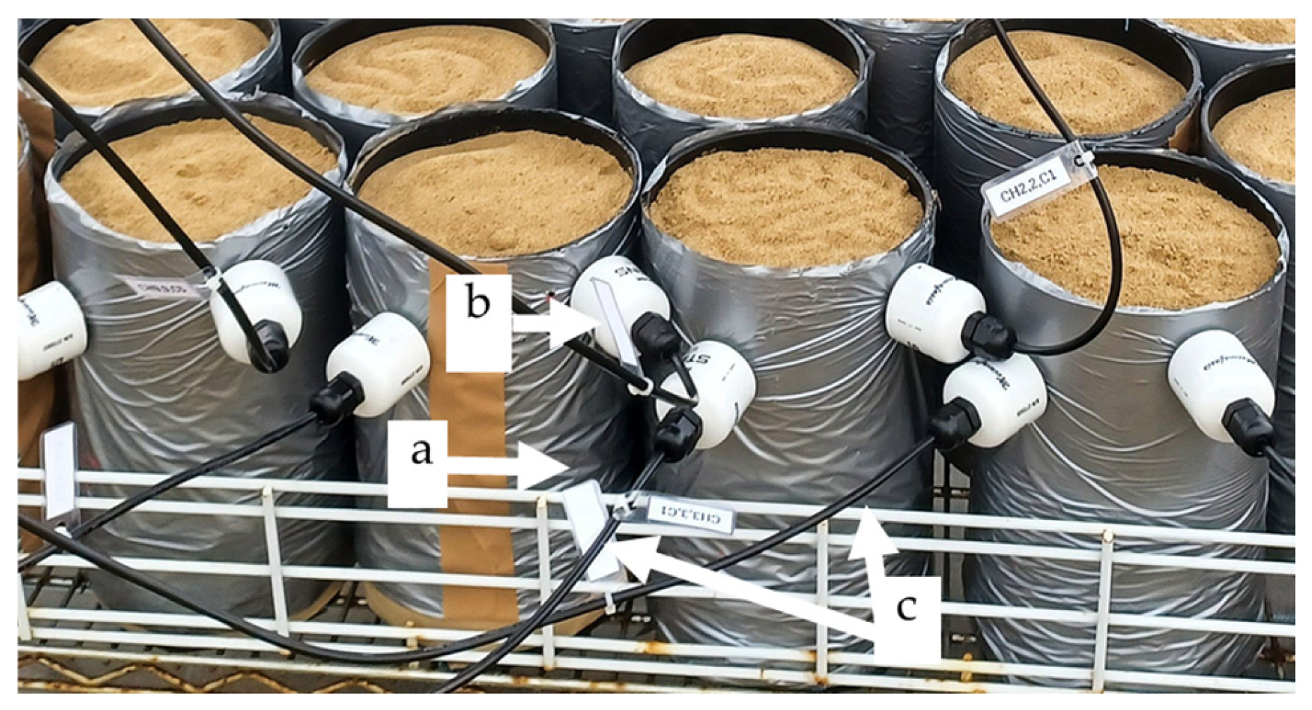 Plants 14 03639 g001