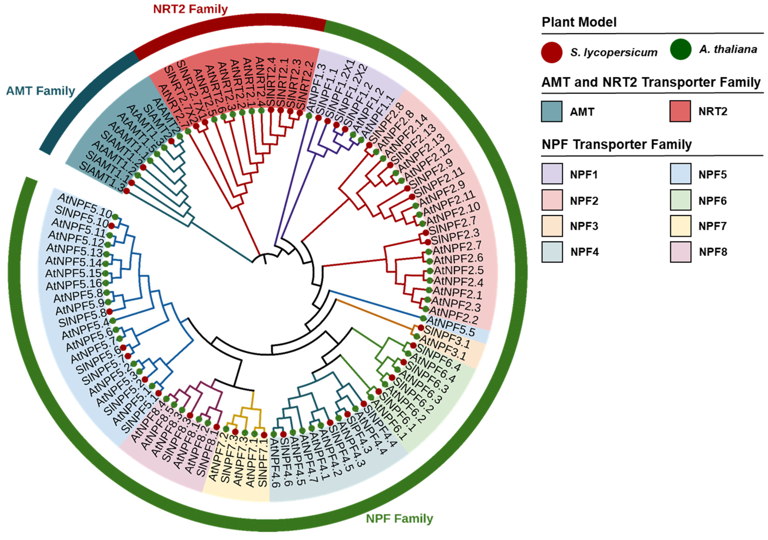 Plants 14 03642 g001