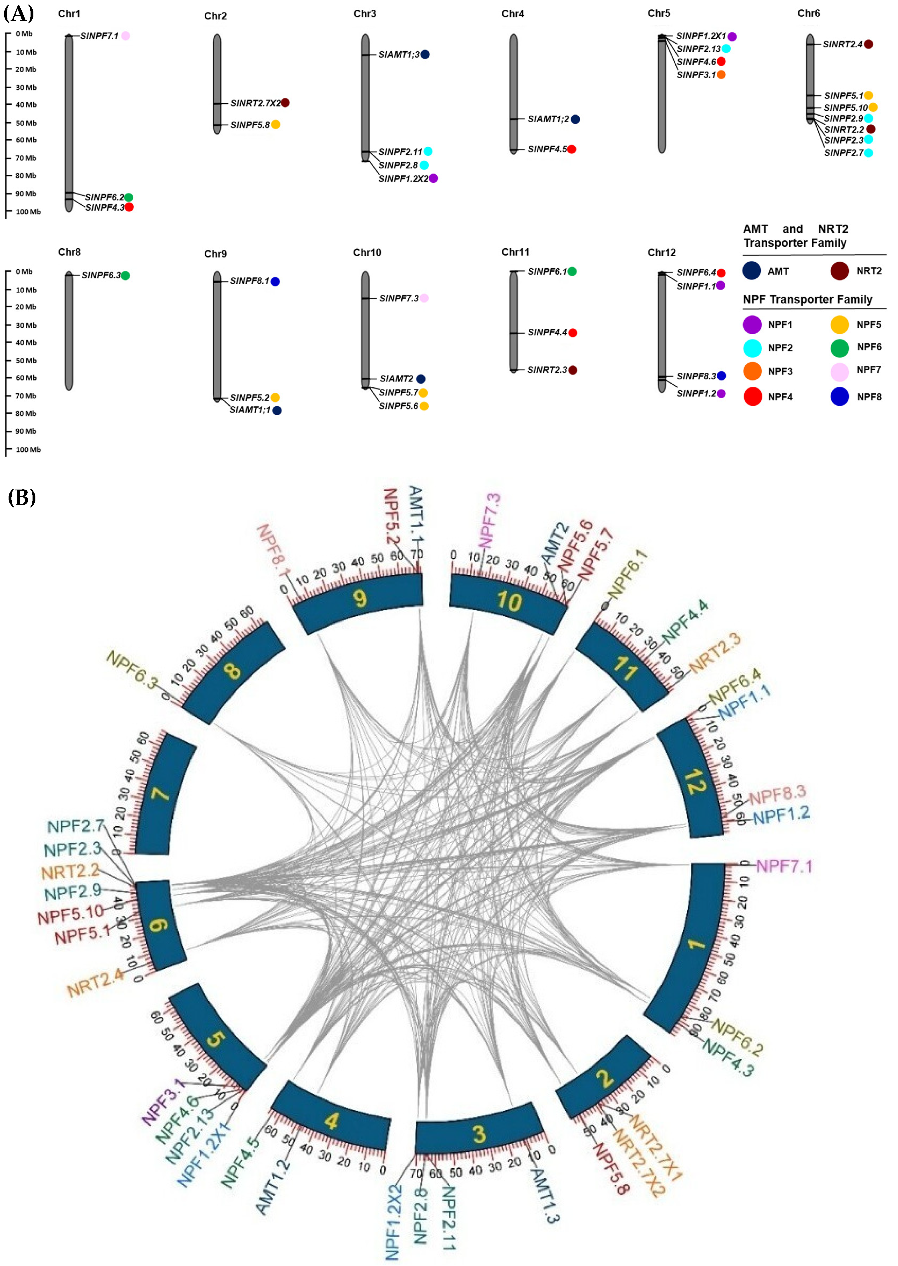 Plants 14 03642 g003