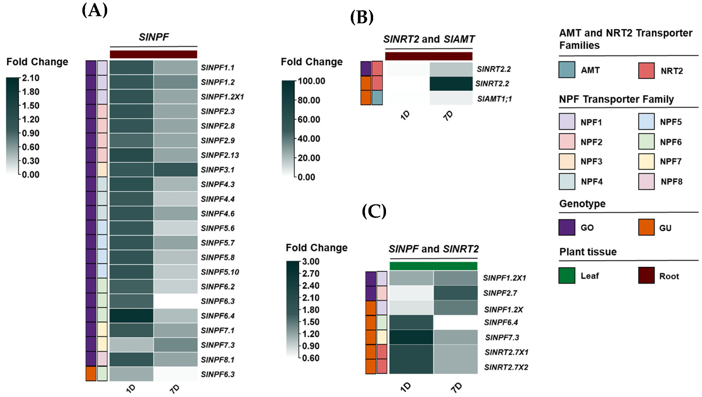 Plants 14 03642 g005