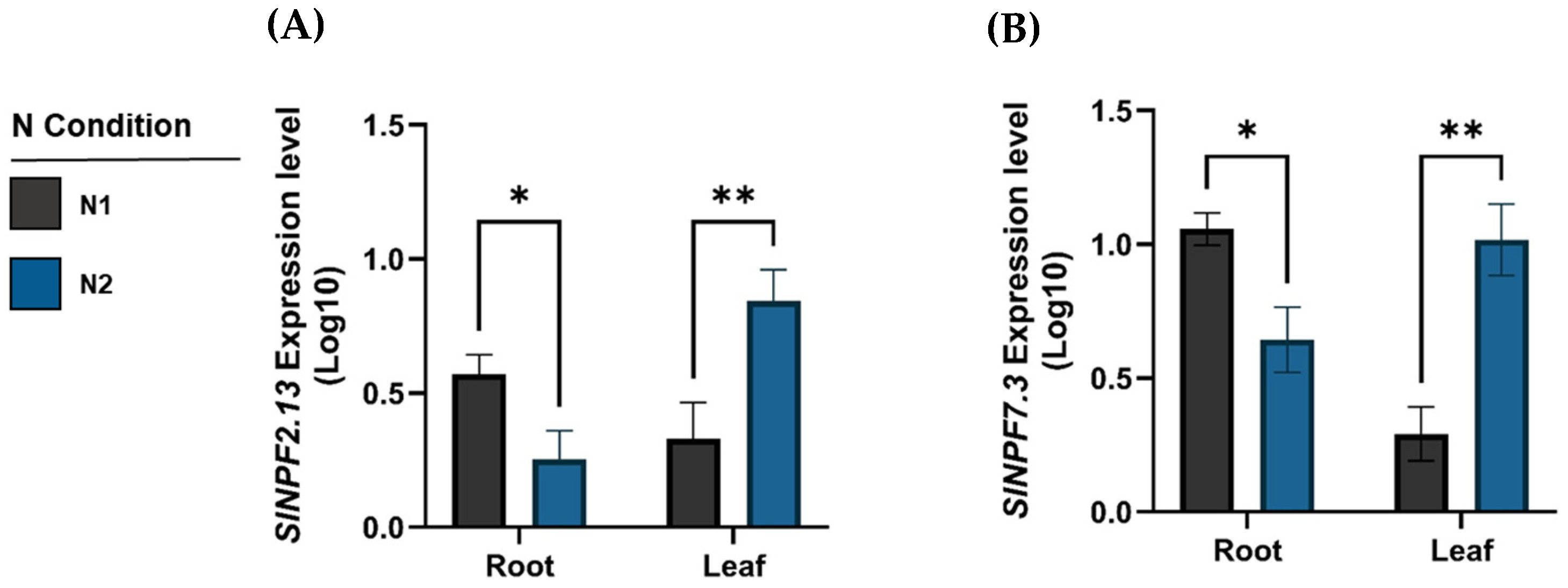 Plants 14 03642 g006
