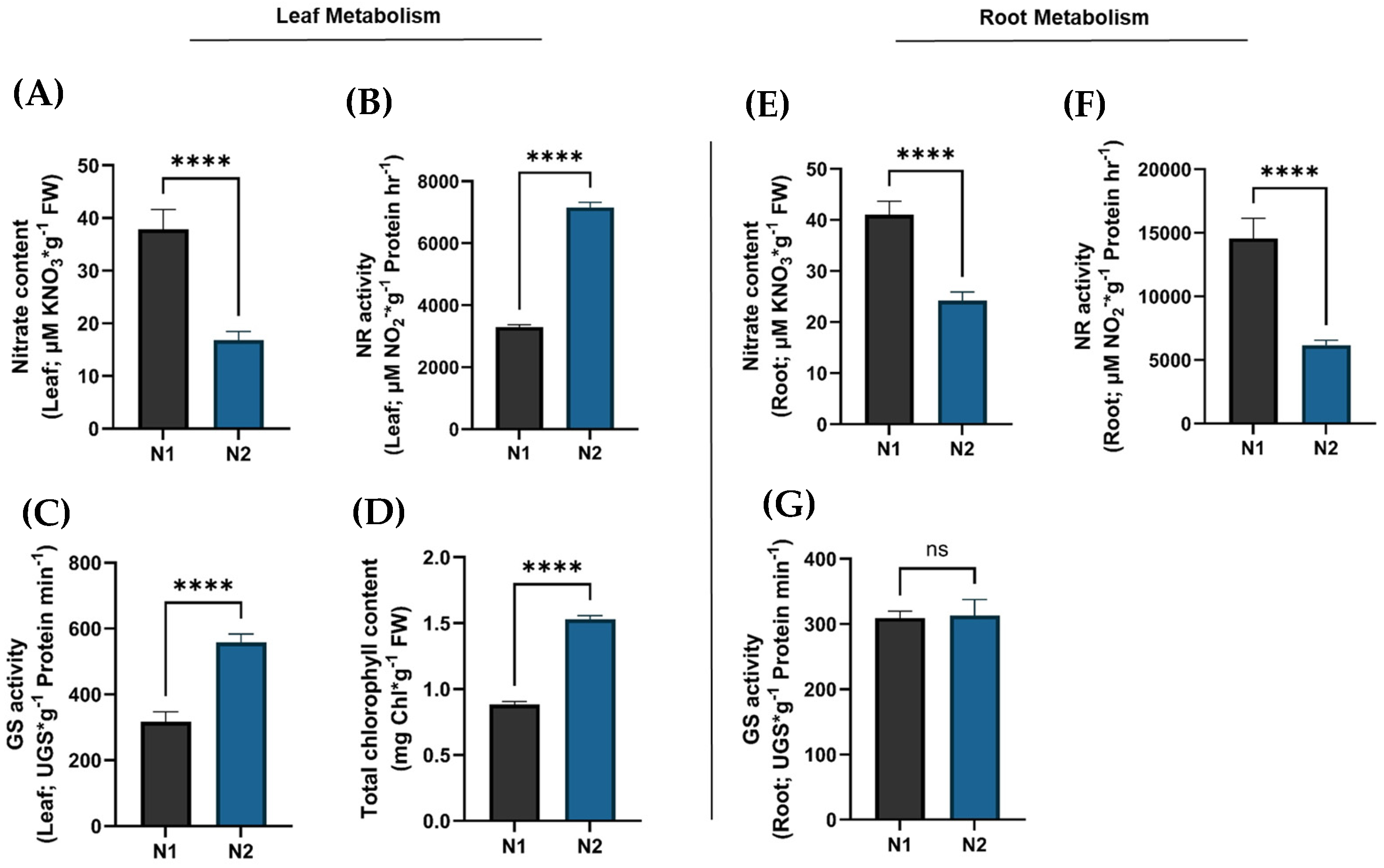 Plants 14 03642 g007