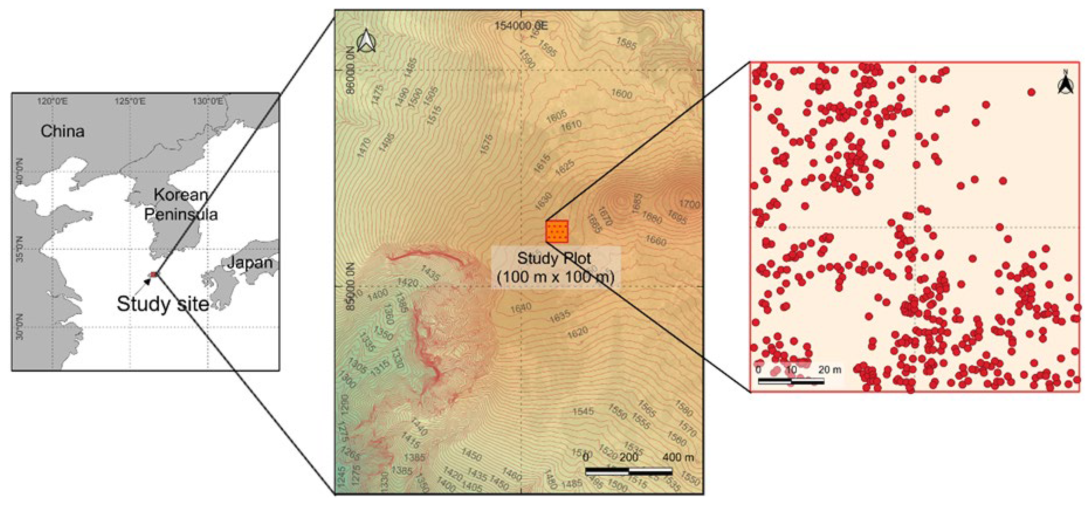 Plants 14 03686 g001