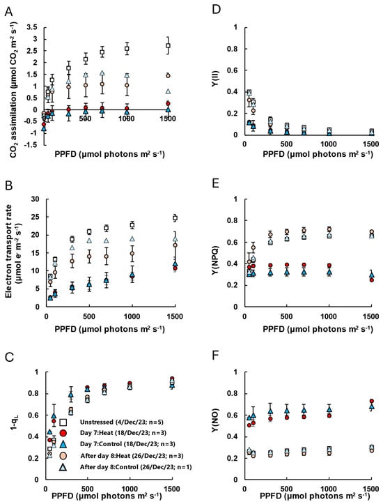 Plants 14 03715 g0a2