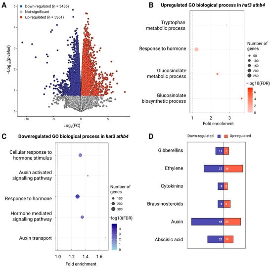 Plants 14 03723 g003