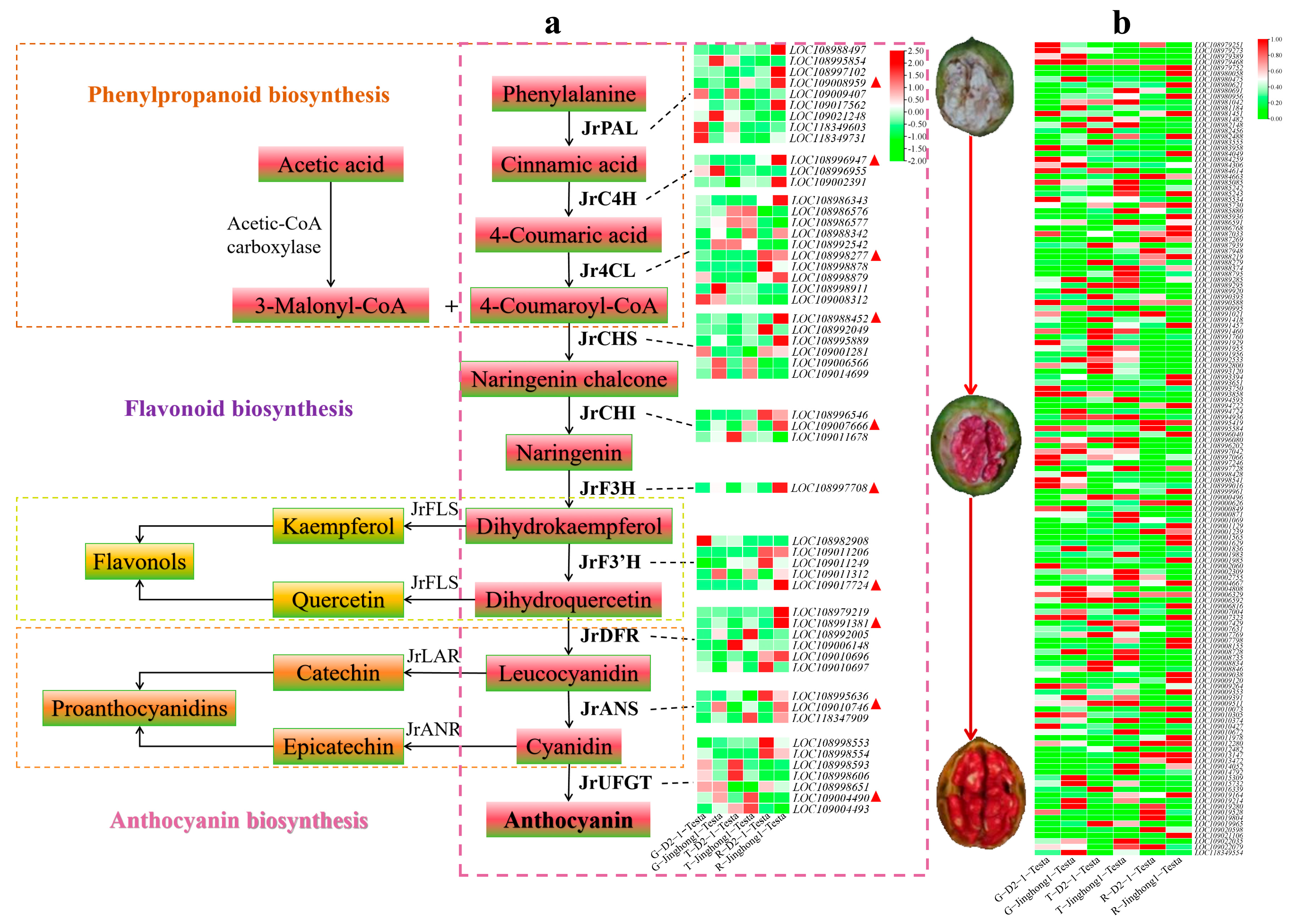 Plants 14 03727 g004