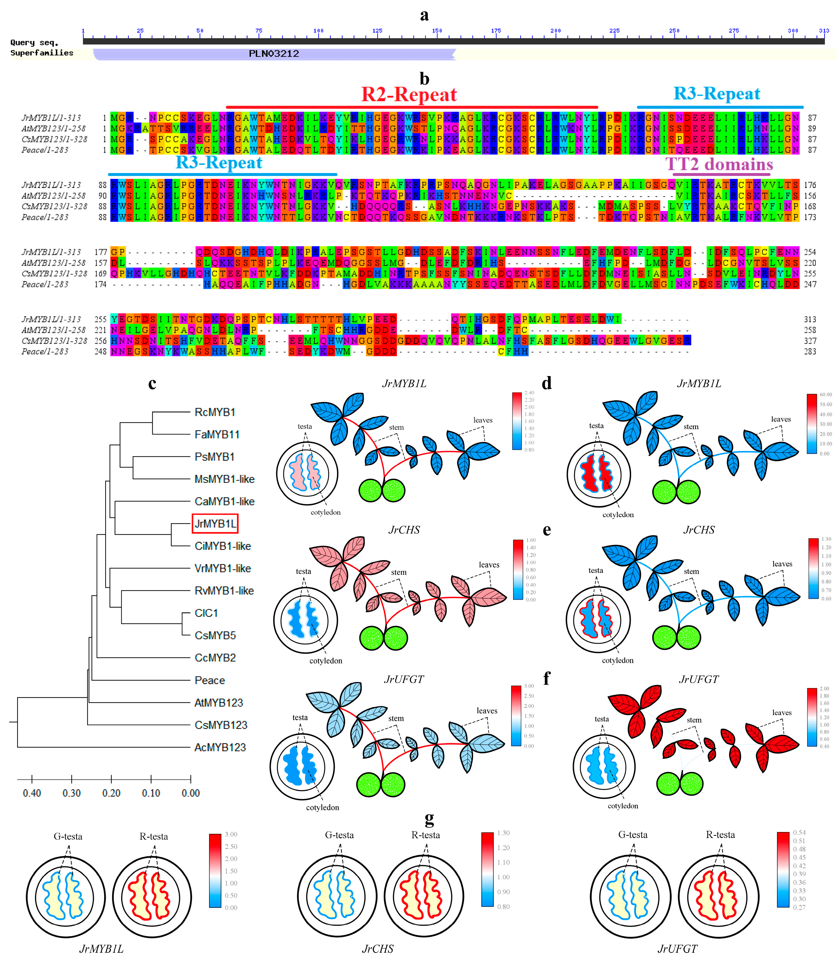 Plants 14 03727 g006