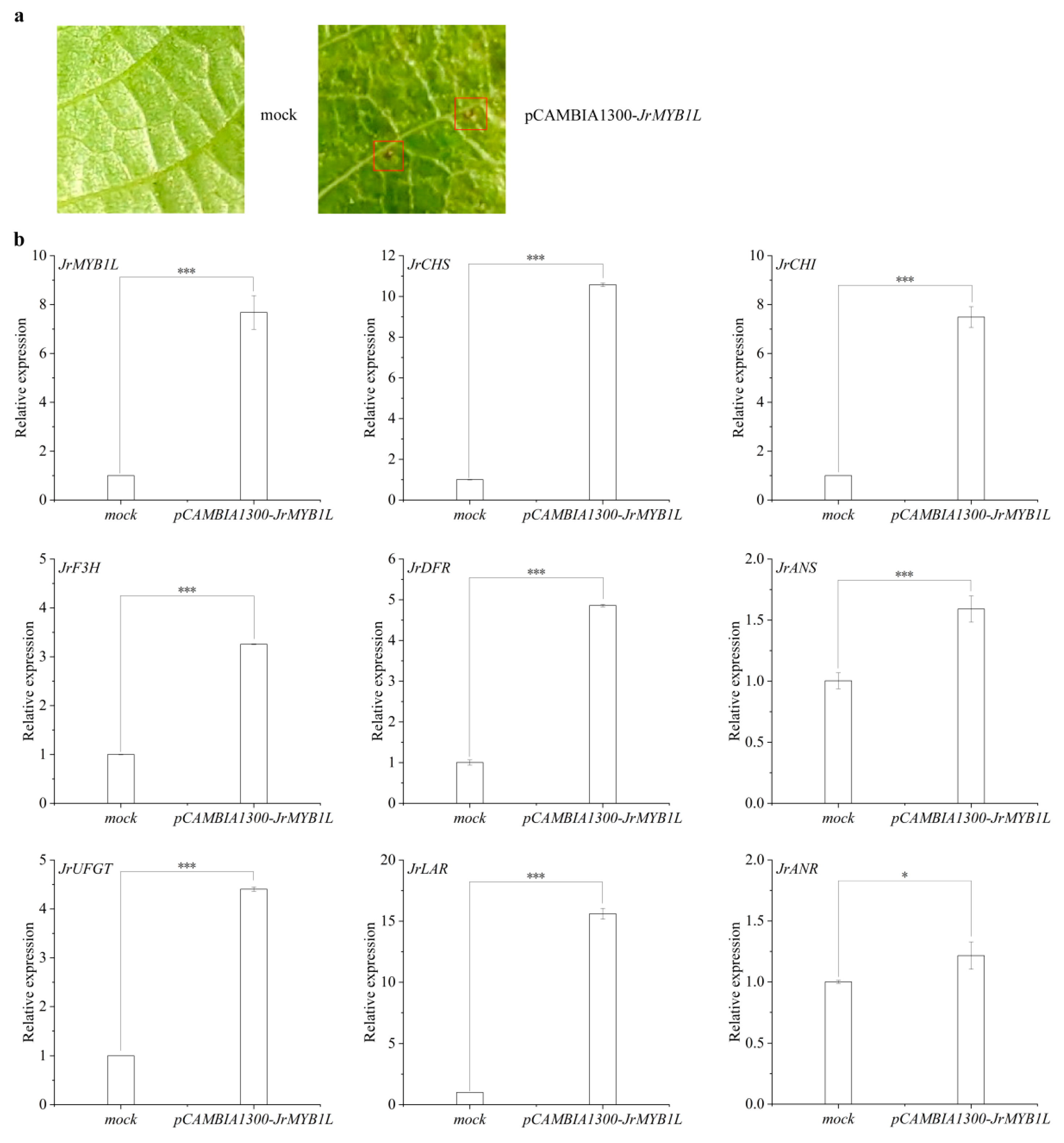 Plants 14 03727 g007