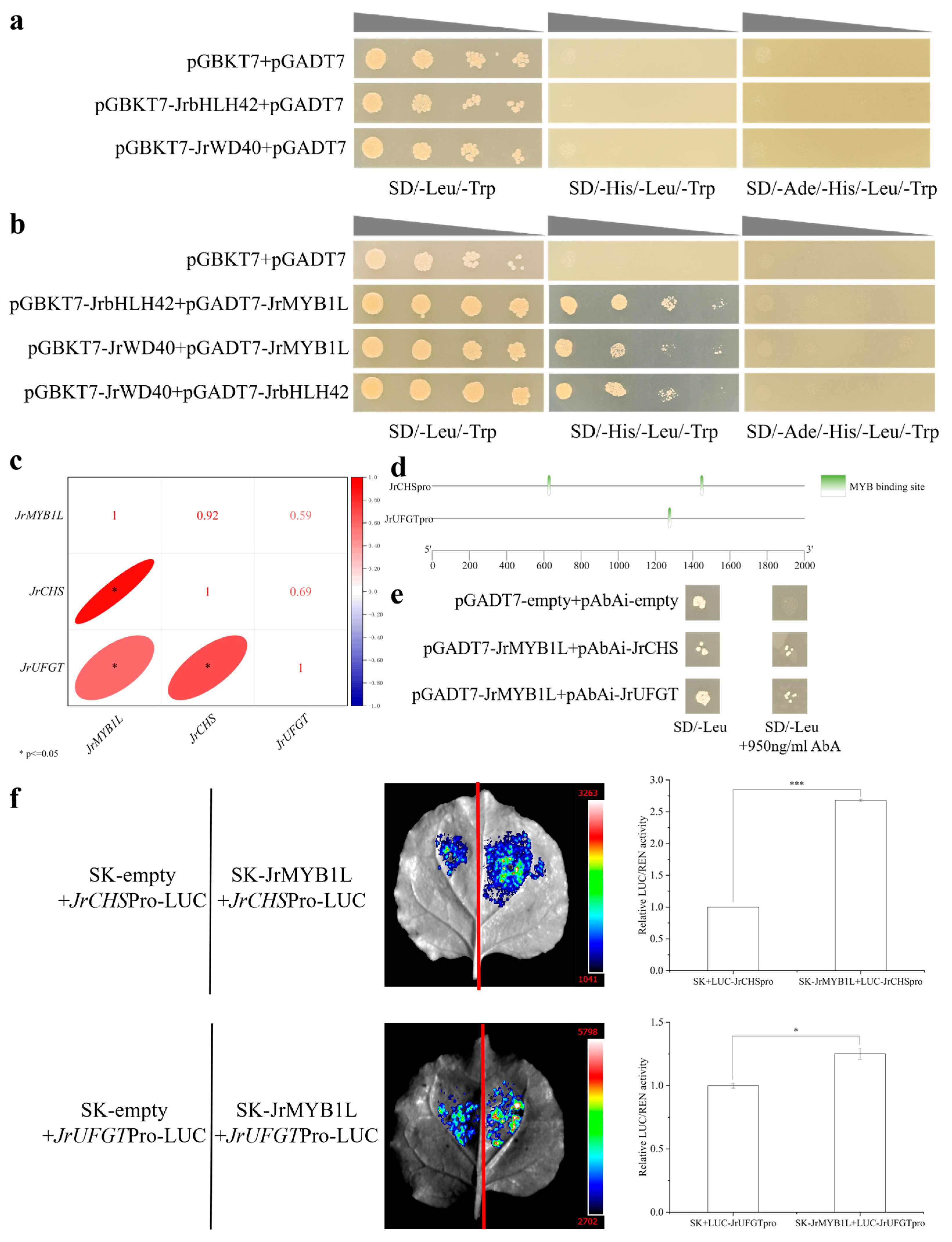 Plants 14 03727 g008