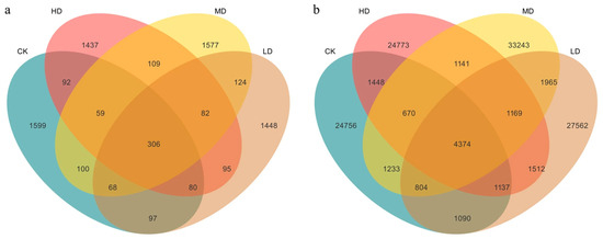 Plants 14 03737 g003