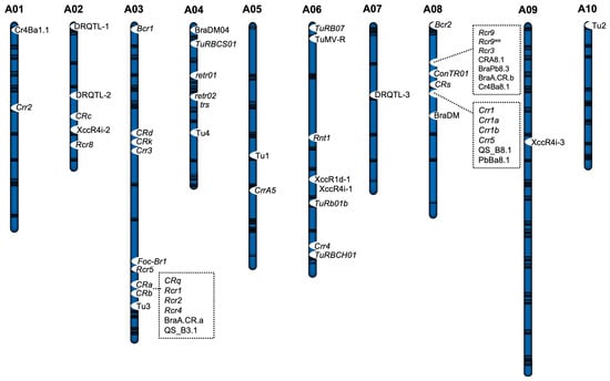 Plants 14 03765 g003