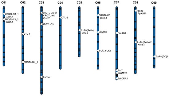 Plants 14 03765 g004
