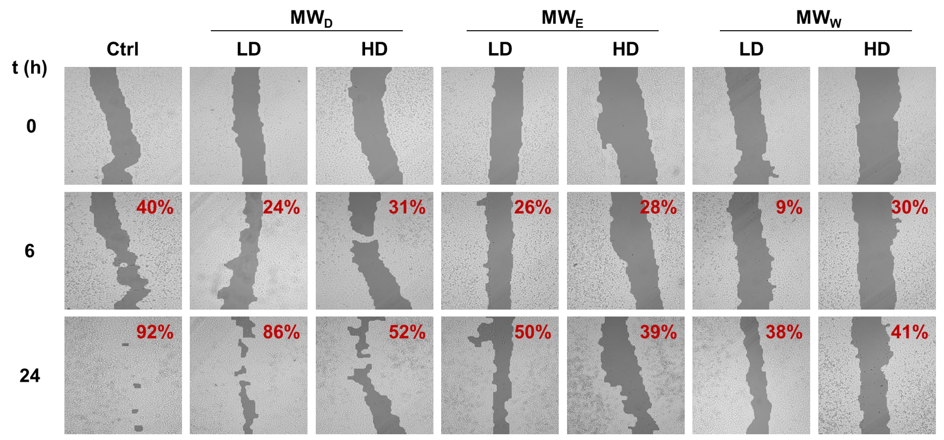Plants 14 03779 g004