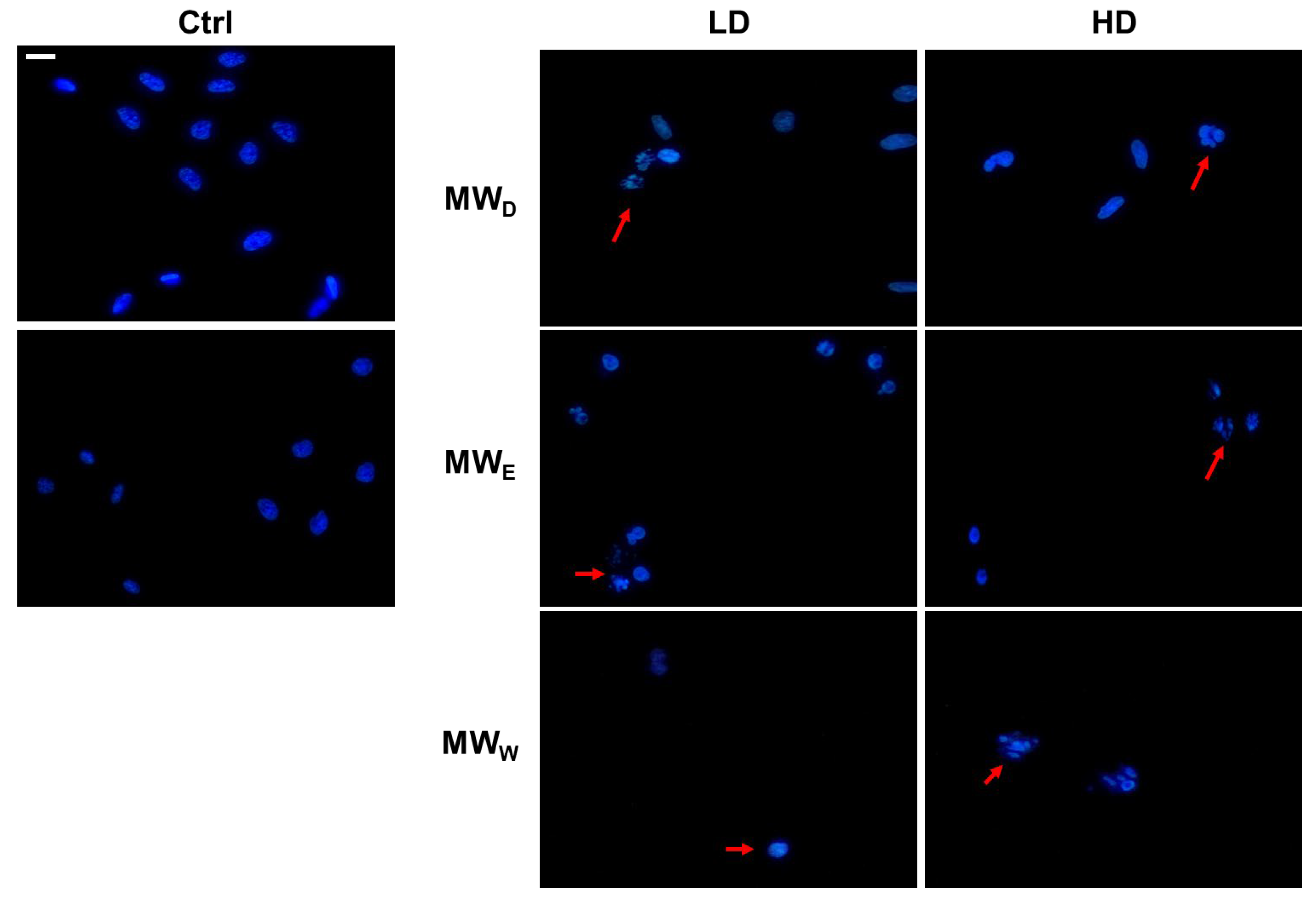 Plants 14 03779 g006