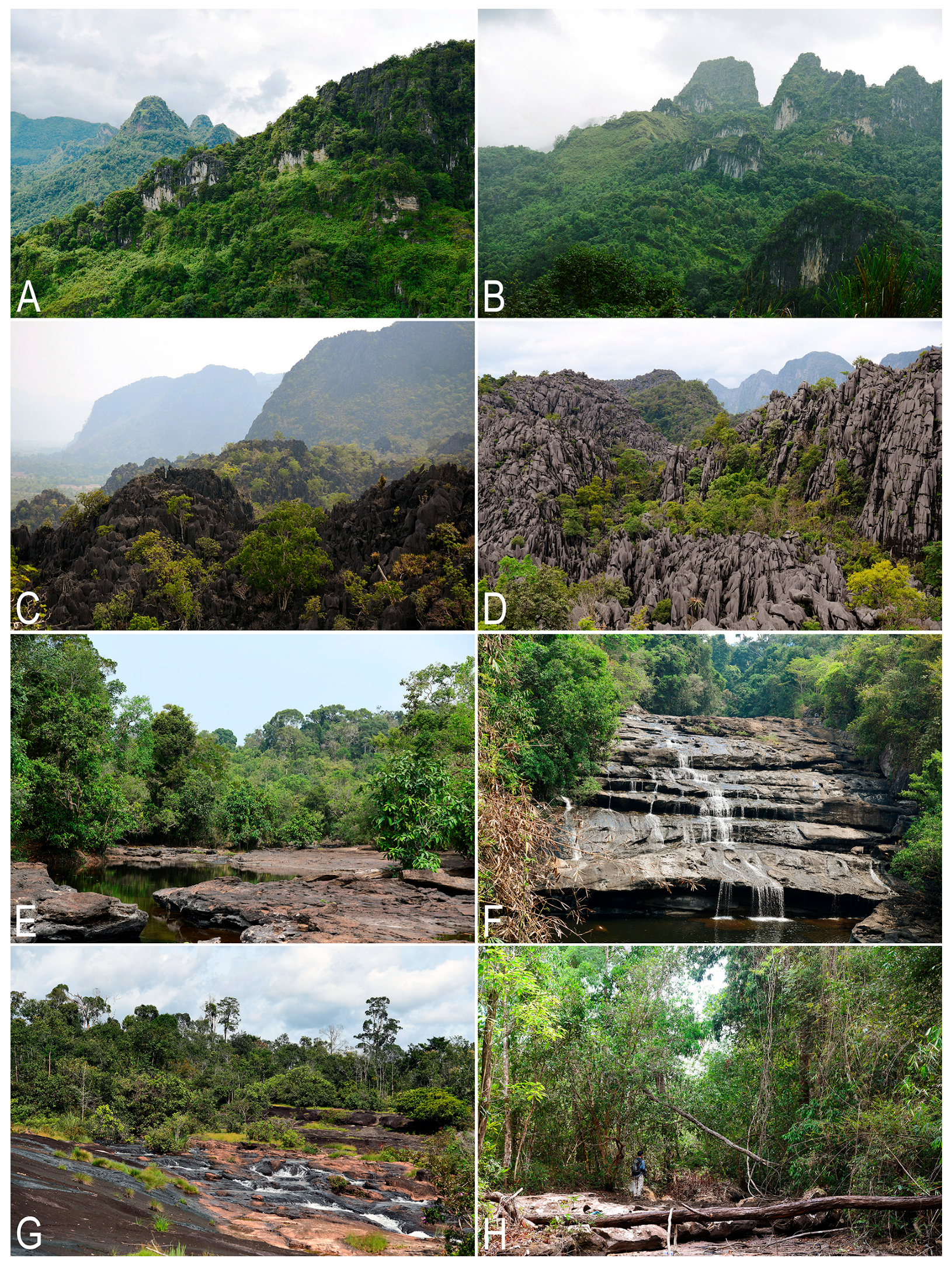 Plants 14 03832 g008