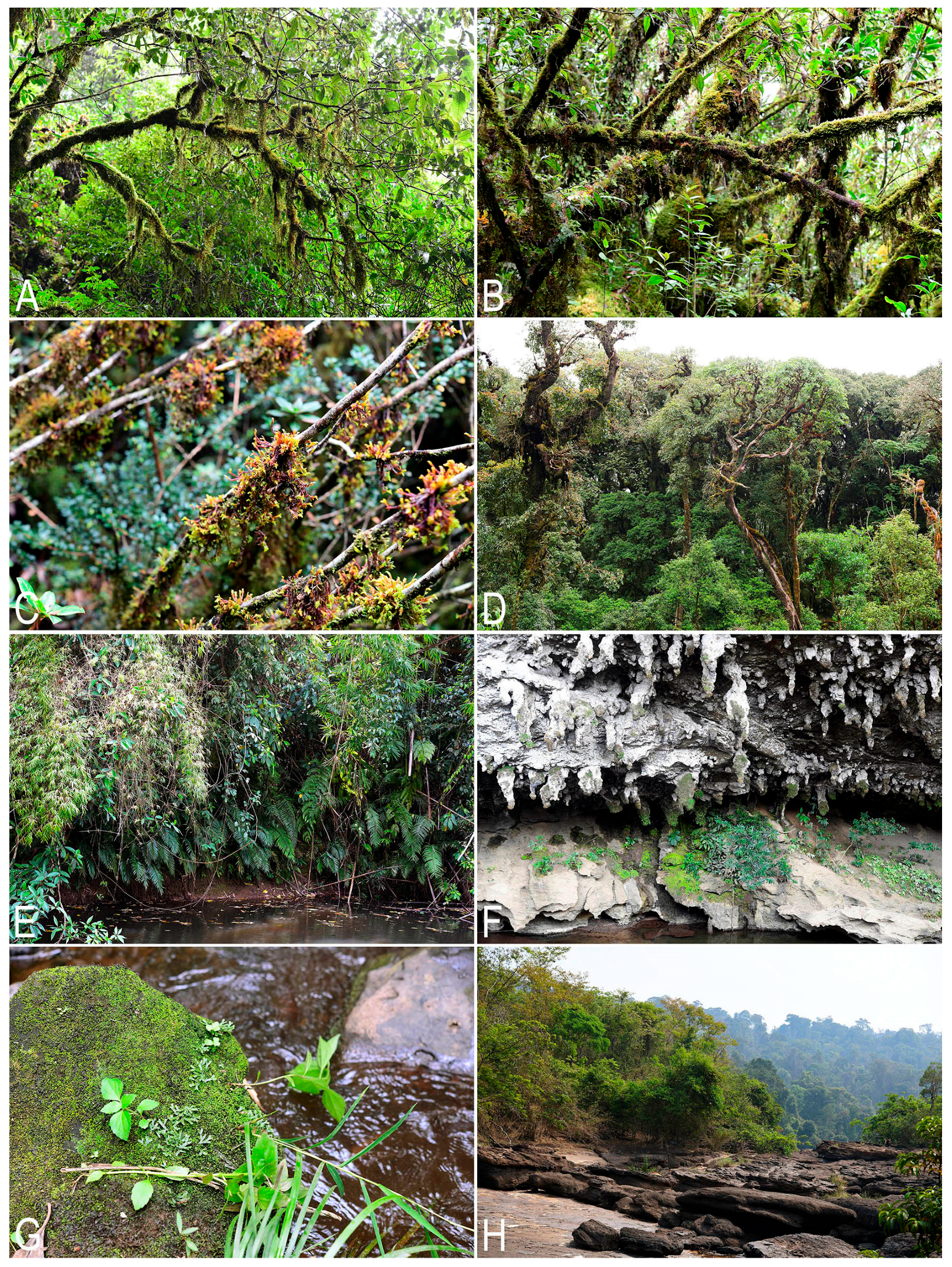 Plants 14 03832 g009