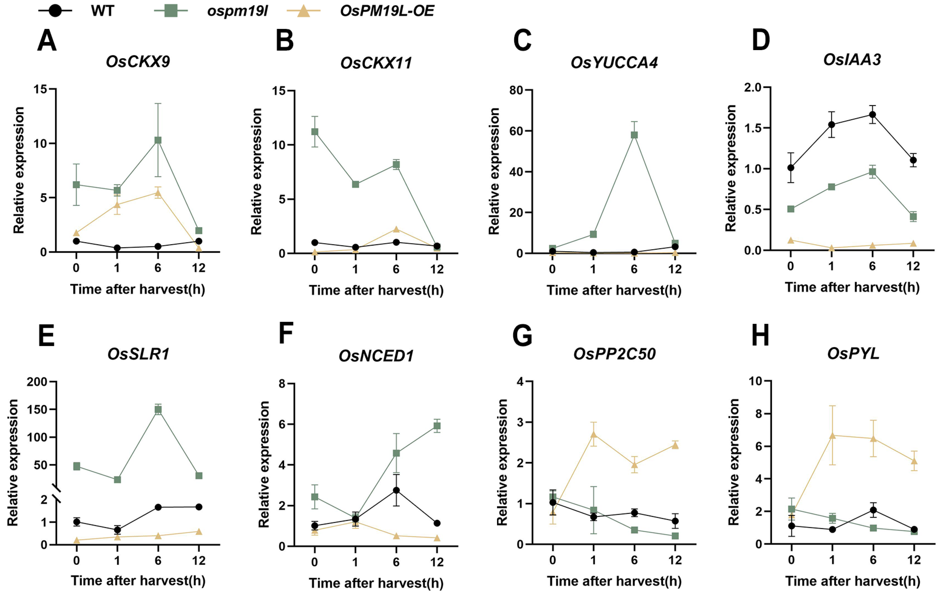 Plants 14 03843 g007