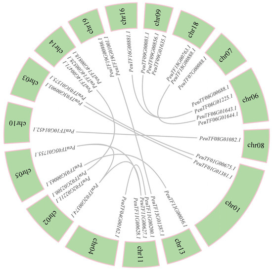 Plants 14 03847 g003