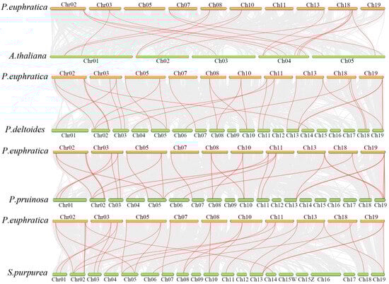 Plants 14 03847 g004