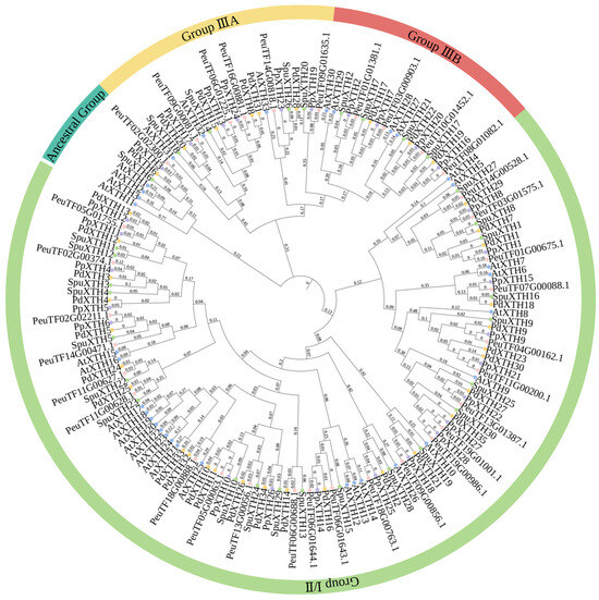 Plants 14 03847 g006
