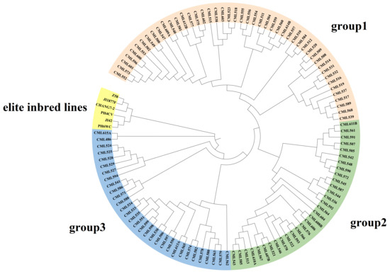 Plants 14 03866 g006