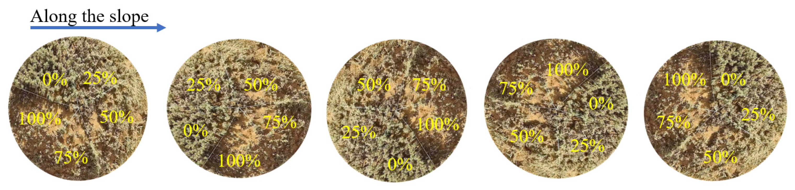 Plants 14 03867 g006