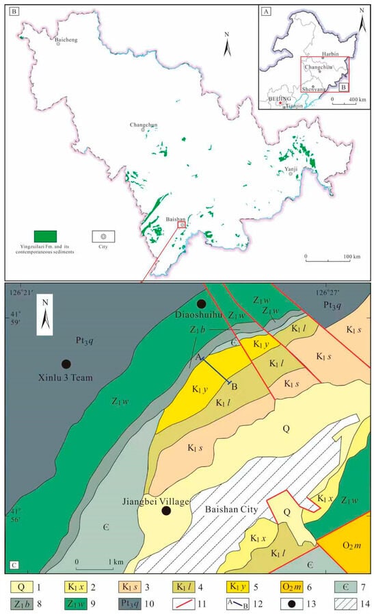 Location of the Study Area. (A). The geographic location of fossil site in Northeast China, (B). Stratigraphic Distribution of the Early Cretaceous in Jilin Province, (C). Sampling Sections and Regional Geology of the Baishan Area. 1. Quaternary System. 2. Lower Cretaceous Xiaonangou Formation. 3. Lower Cretaceous Shiren Formation. 4. Lower Cretaceous Linzi tou Formation. 5. Lower Cretaceous Yingzuilazi Formation. 6. Middle Ordovician Majiagou Formation. 7. Cambrian System. 8. Tonian Badaojiang Formation. 9. Tonian Wanlong Formation. 10. Qingbaikouan System (Upper Proterozoic). 11. Fault. 12. Stratigraphic Section. 13. Village. 14. City.
