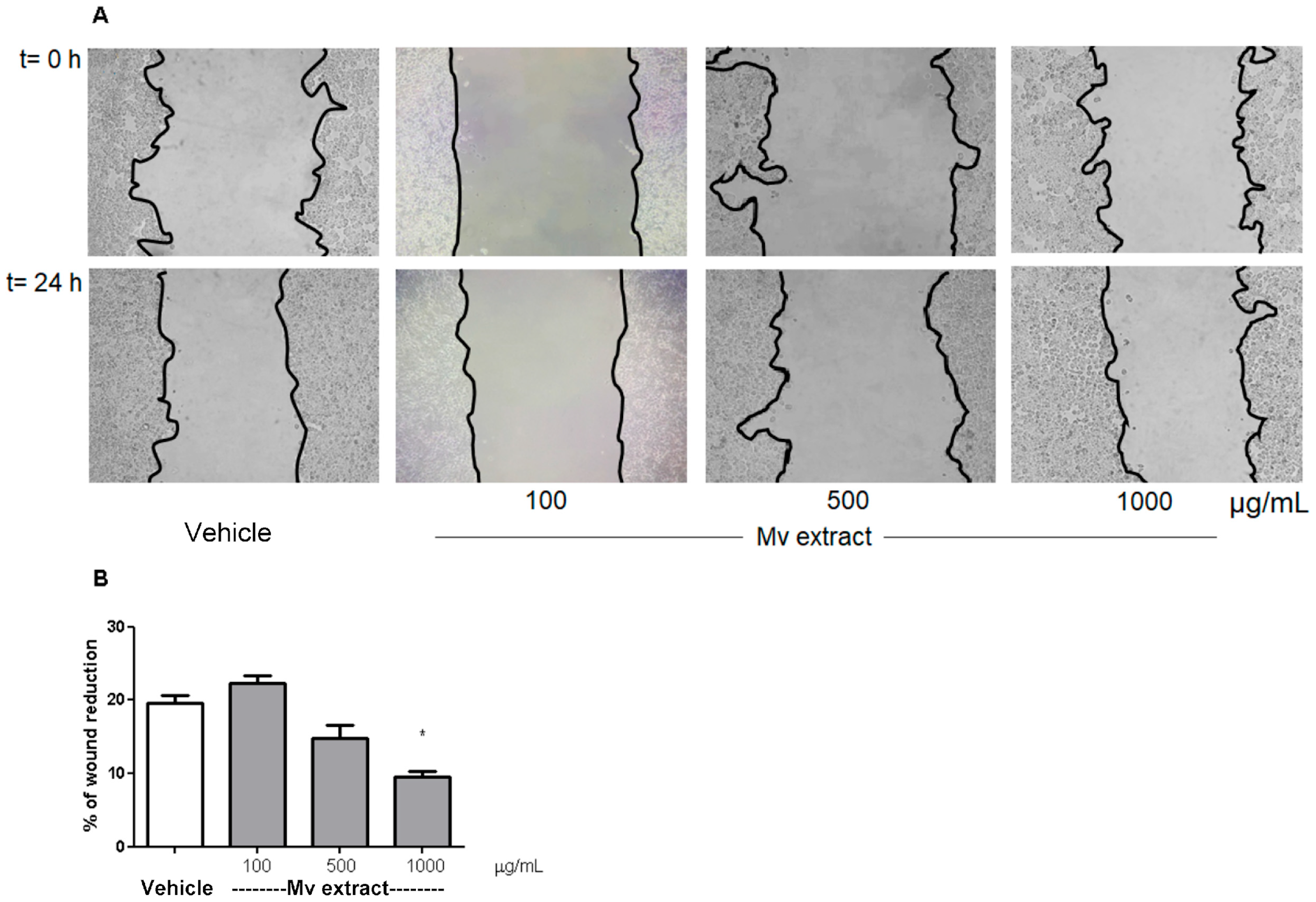 Plants 15 00069 g006 Plants 15 00069 g006