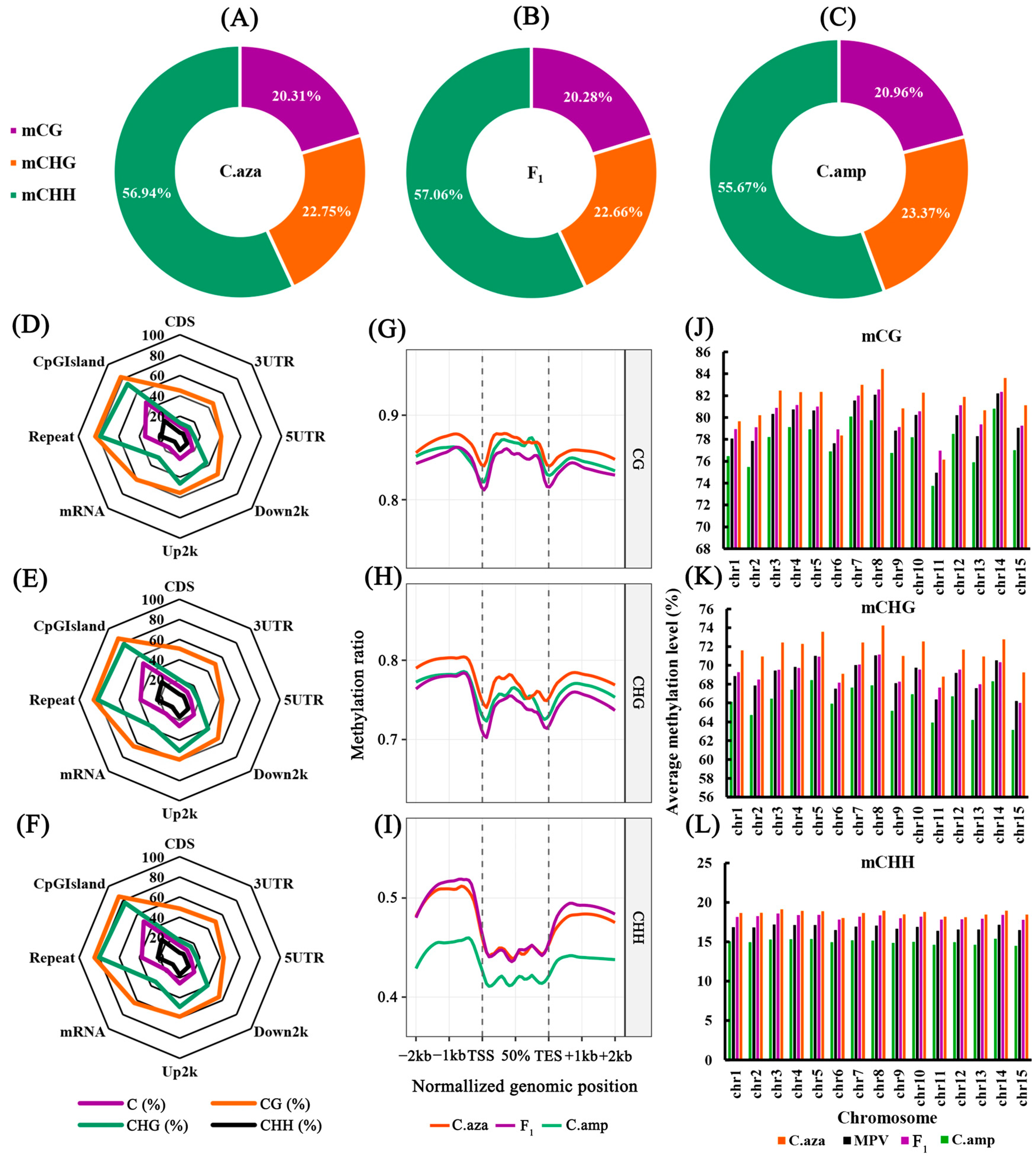 Plants 15 00094 g002