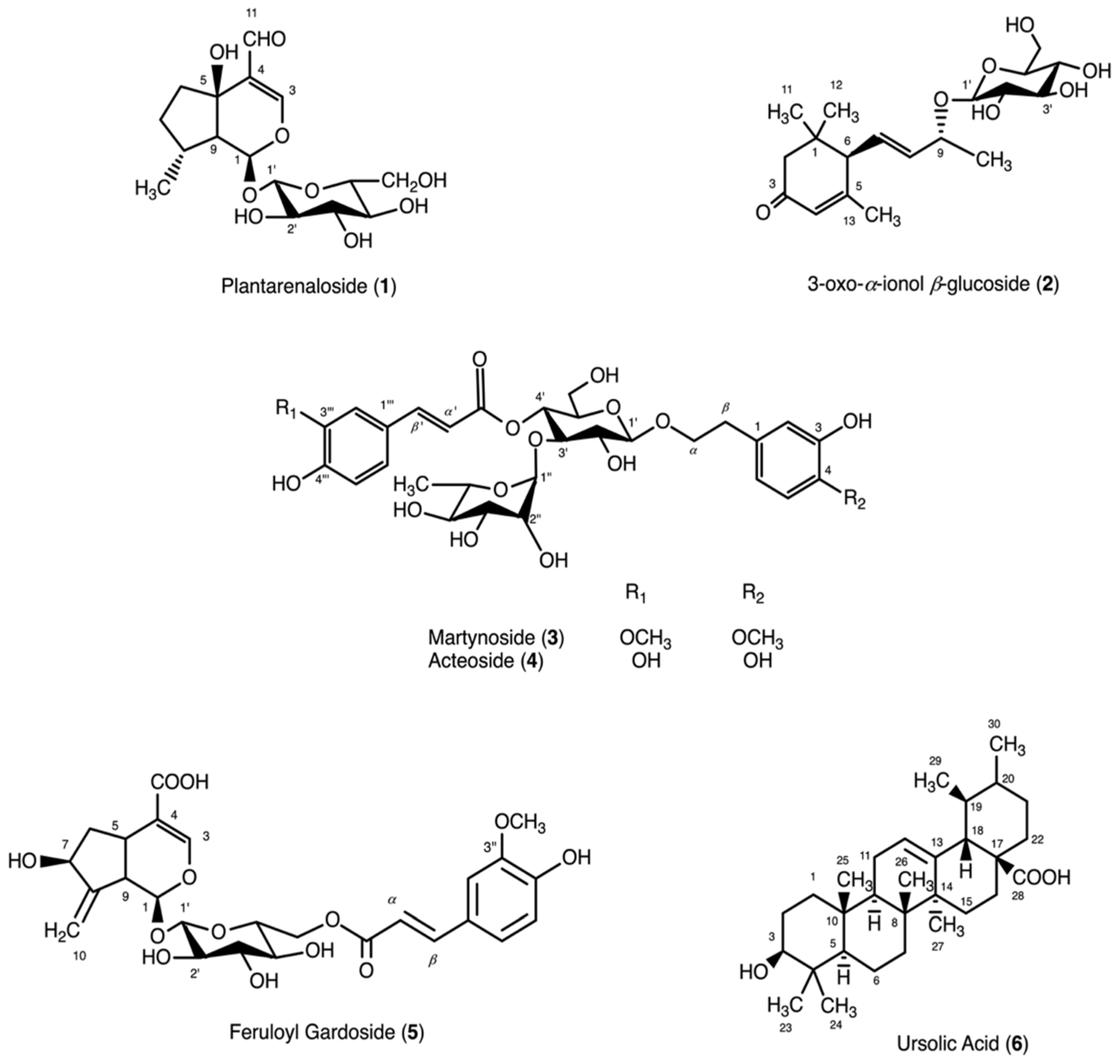Plants 15 00141 g001