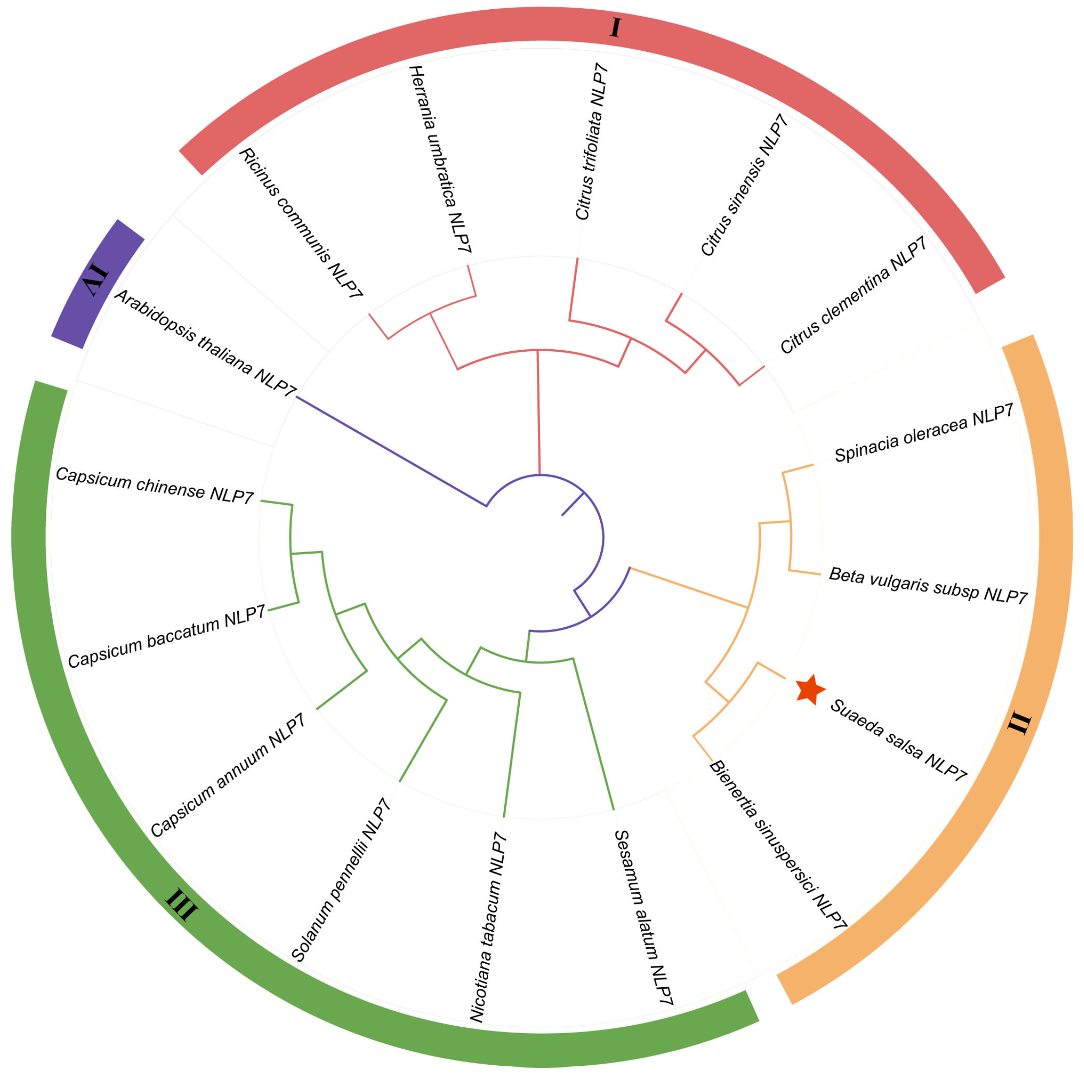 Plants 15 00175 g001