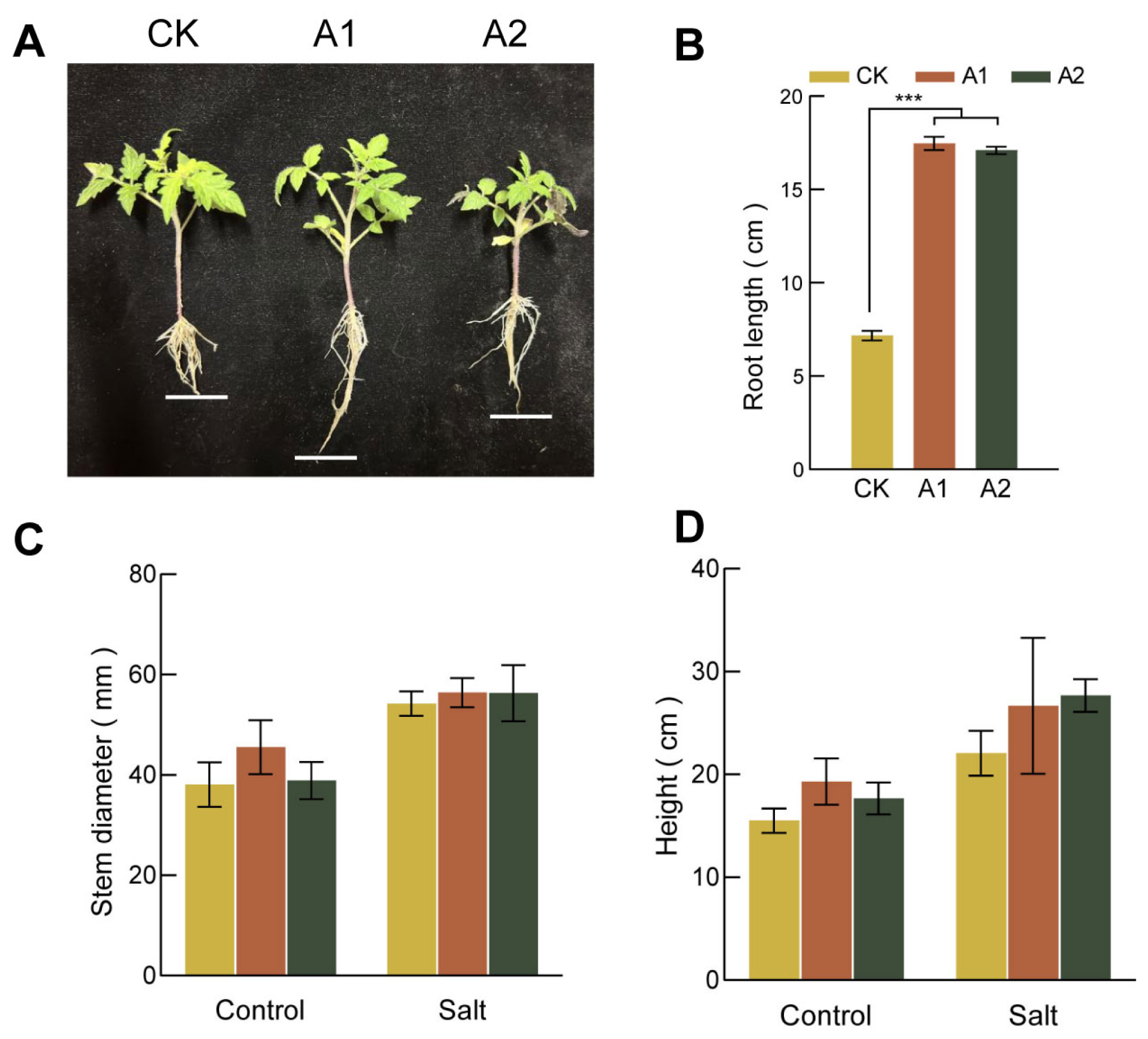 Plants 15 00175 g004
