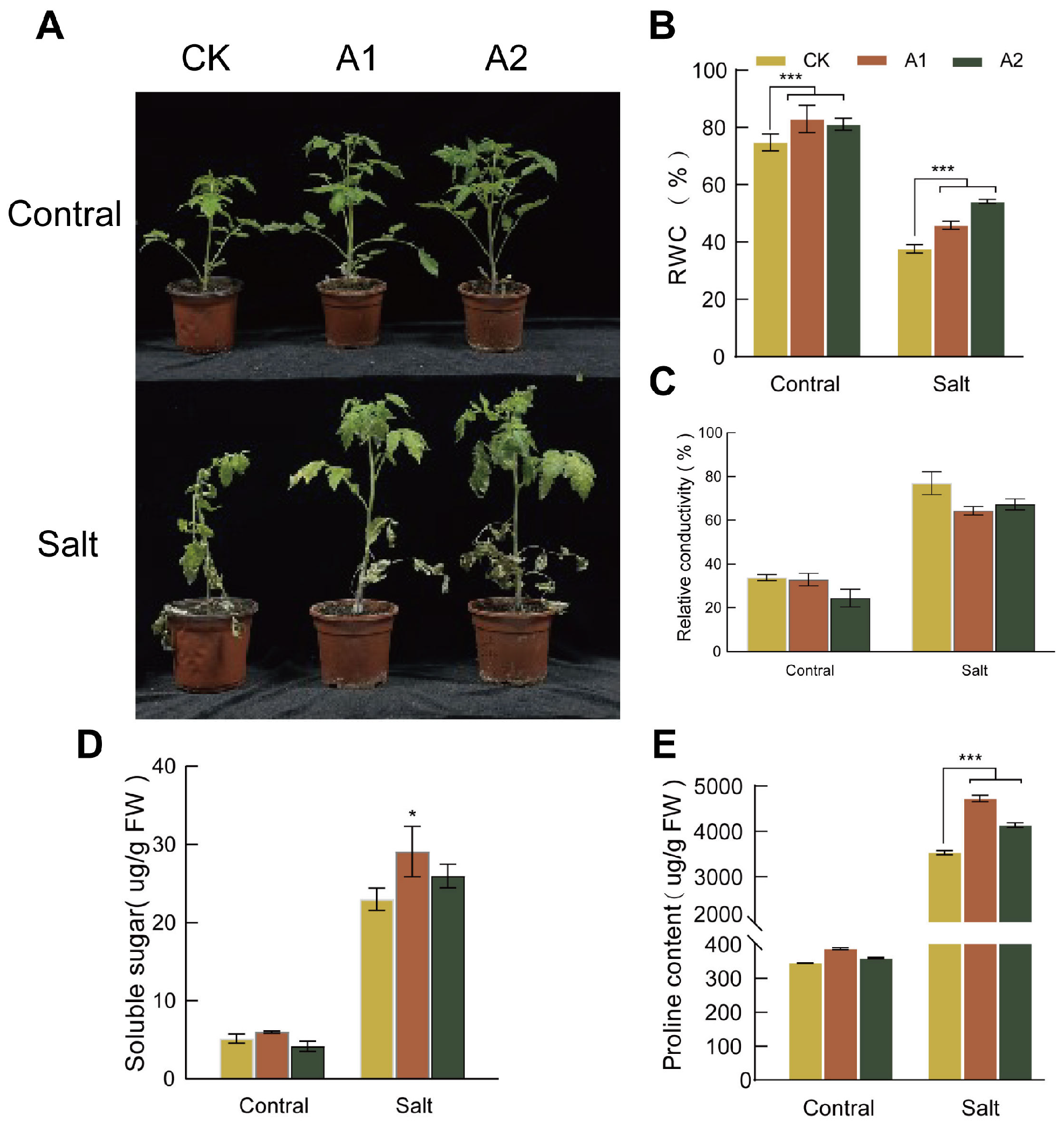 Plants 15 00175 g005
